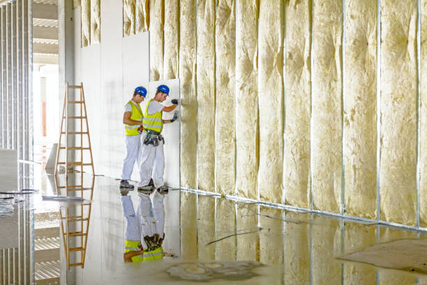 Best Eco-Friendly Insulation in Iroquois Point, HI